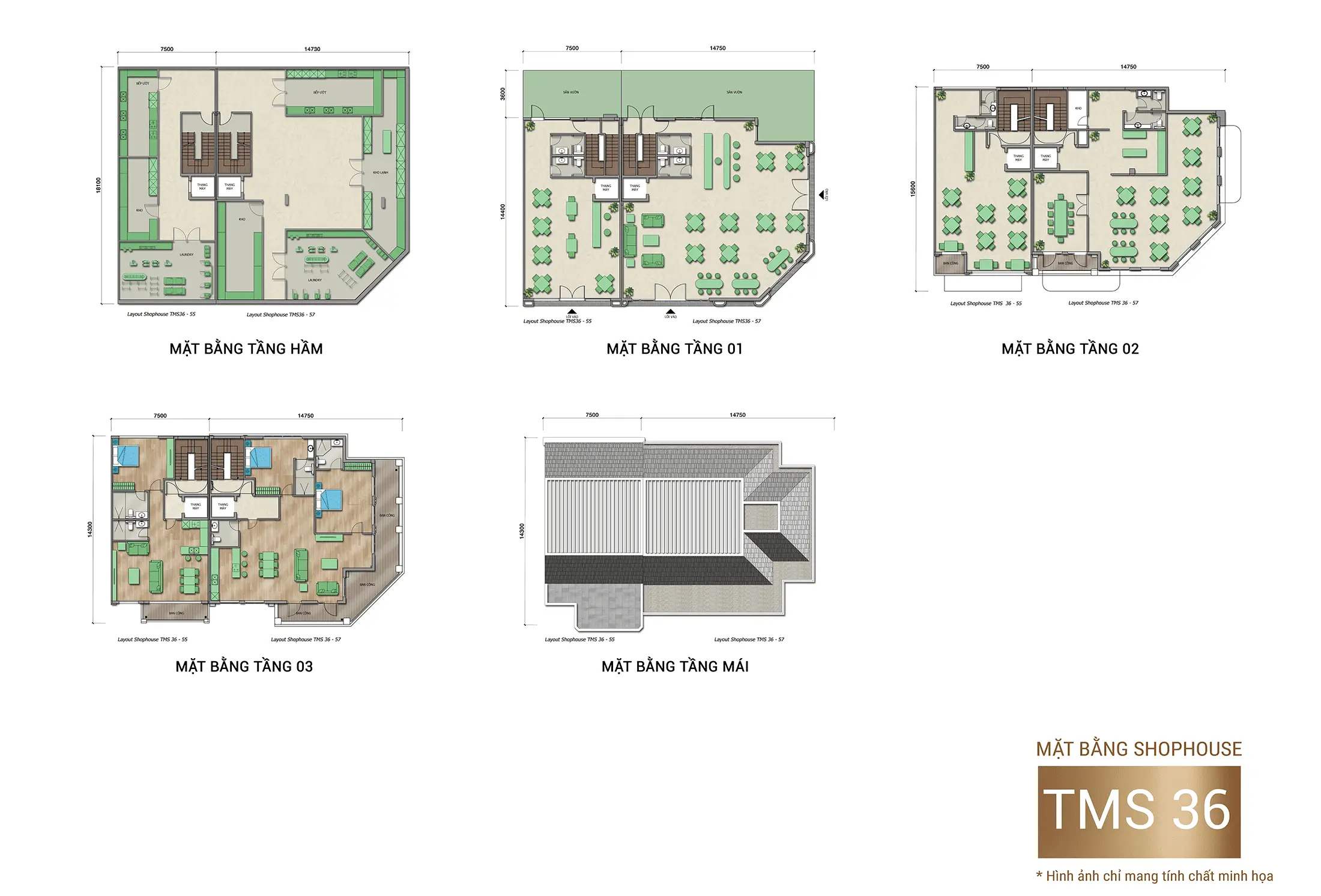 Layout thiết kế sản phẩm Xanh Boutique 3 Tầng tại dự án Xanh Island Cát Bà Layout thiết kế sản phẩm Xanh Boutique 3 Tầng tại dự án Xanh Island Cát Bà